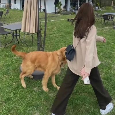 与君渡长欢